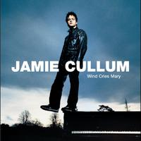 I Get A Kick Out Of You - Jamie Cullum