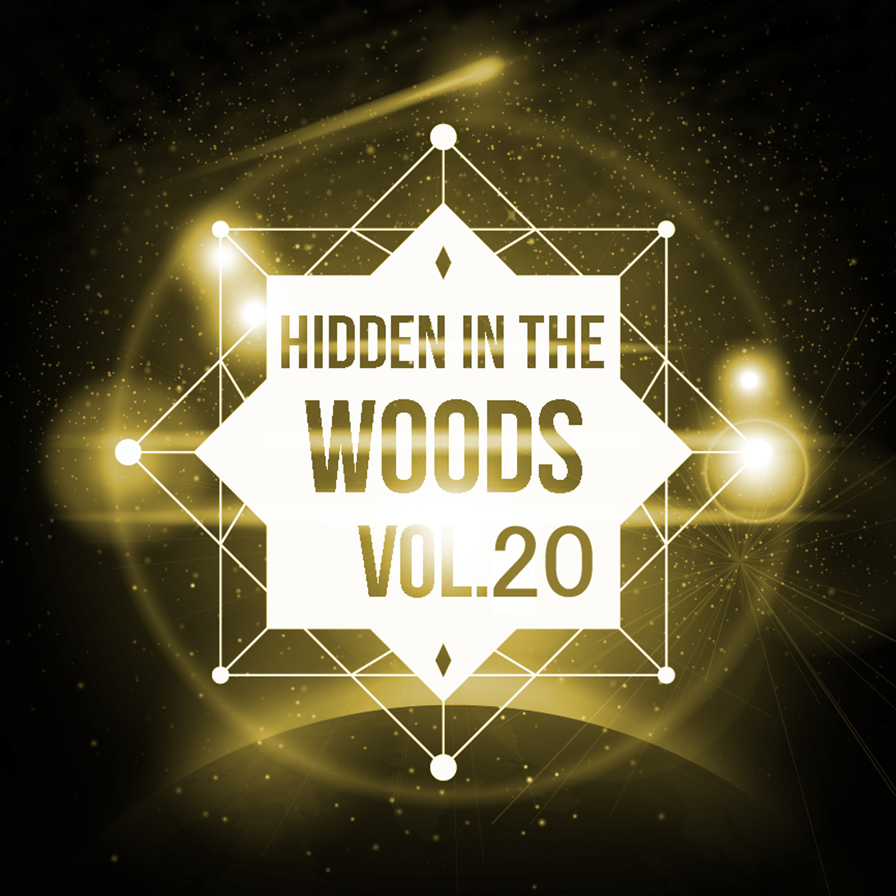 Hidden In The Woods Vol.20专辑