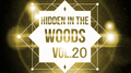 Hidden In The Woods Vol.20专辑