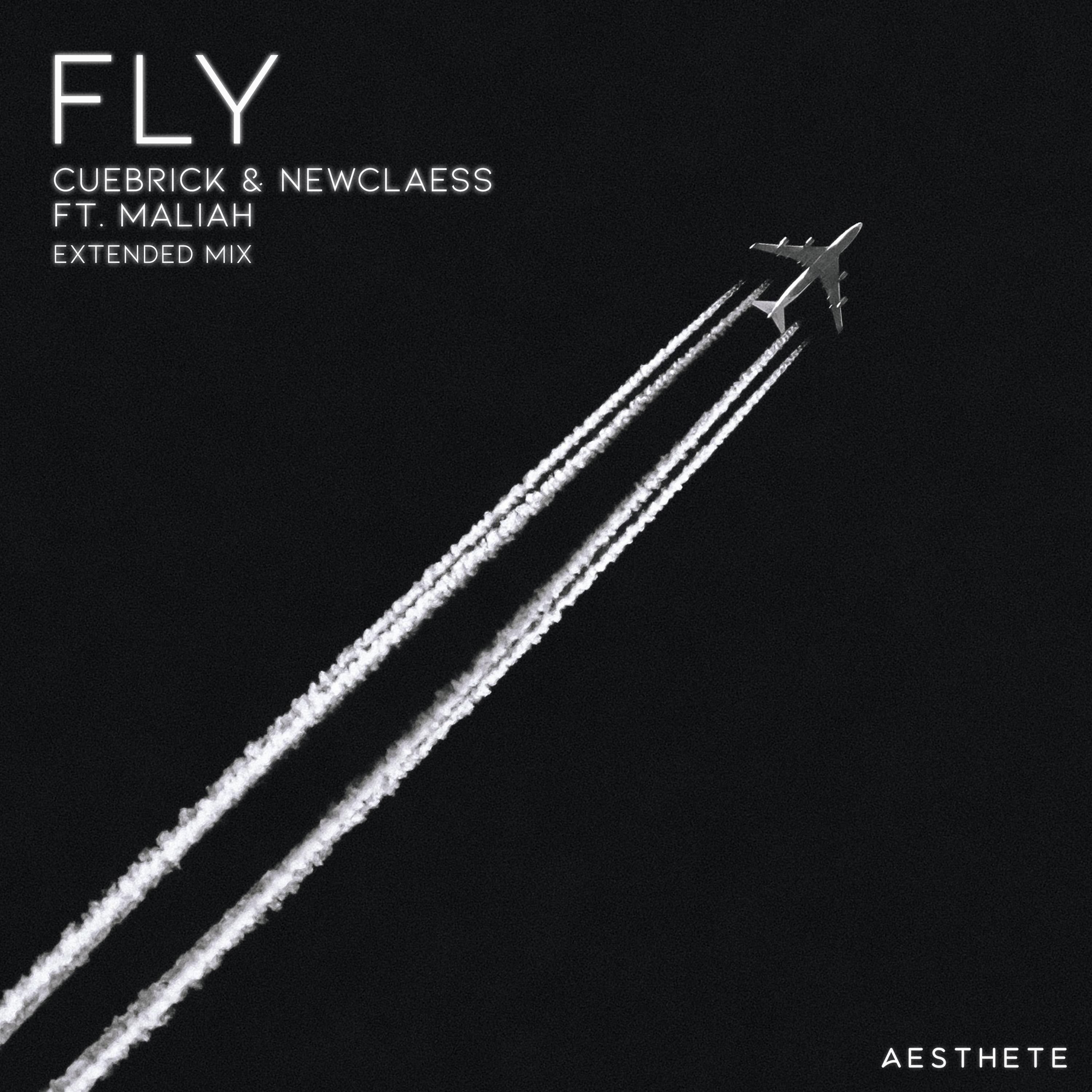 Newclaess - Fly (Extended Mix)