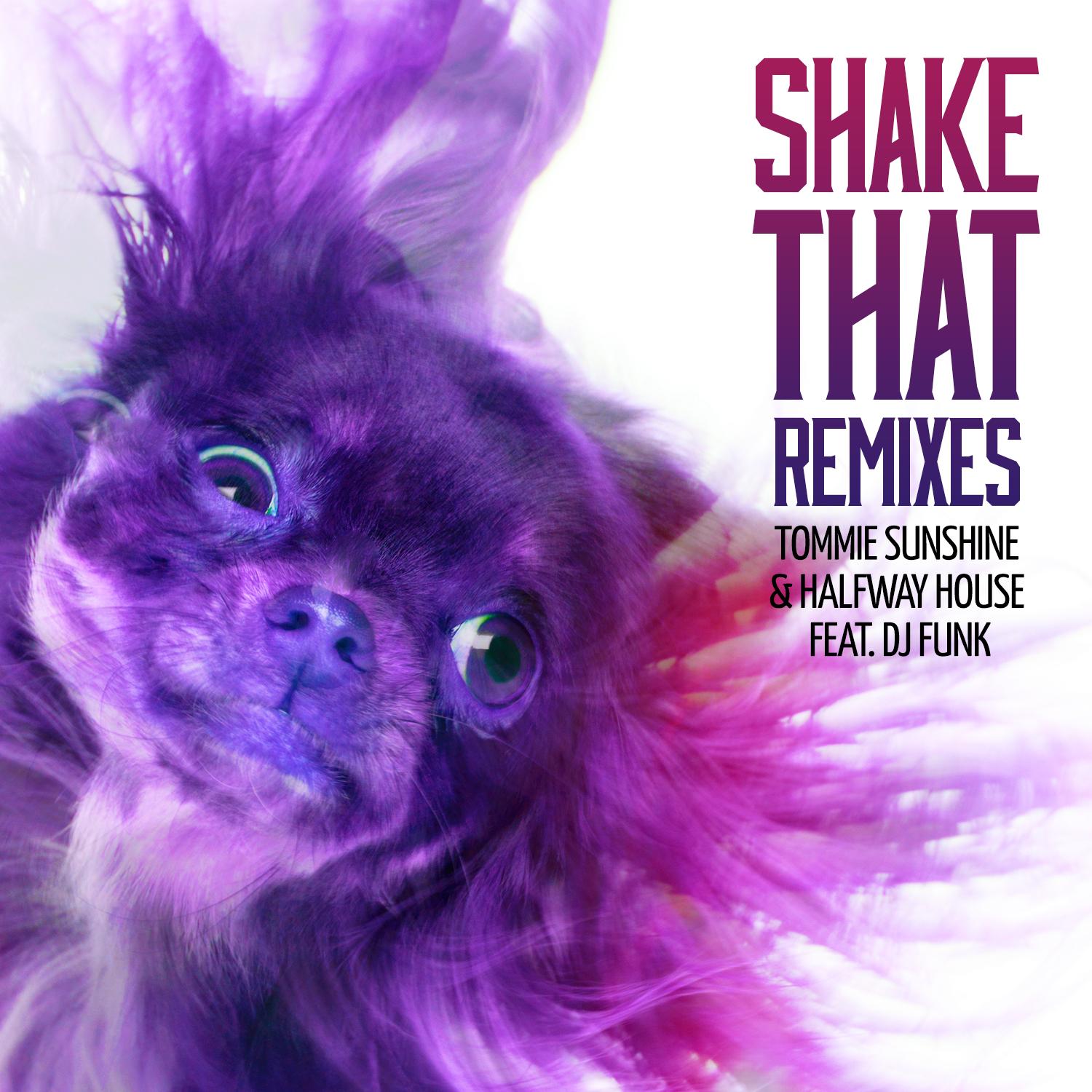 Shake That (Remixes)