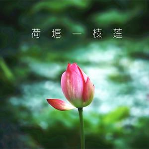 薛丽娜 - 荷塘一枝莲