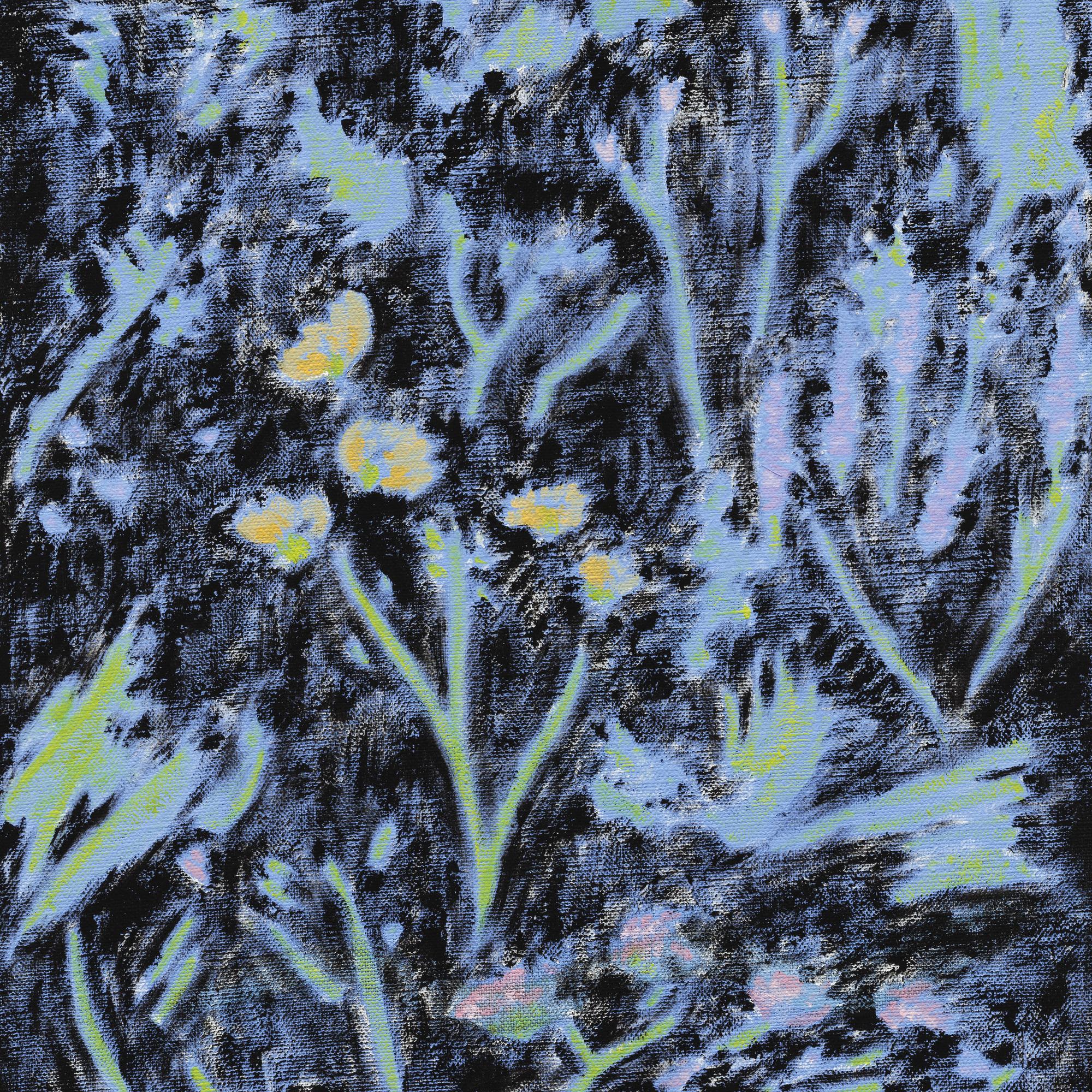 Spring Cellar