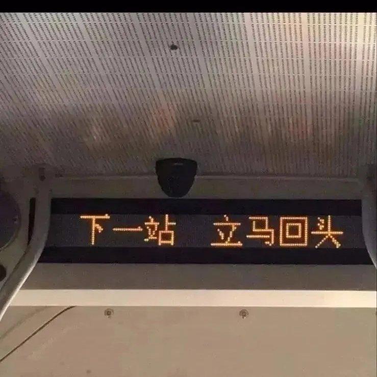 温酒盗华年（翻自 江苹果）