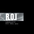 R.O.I (RETURN ON INVESTMENT) (Explicit Version)