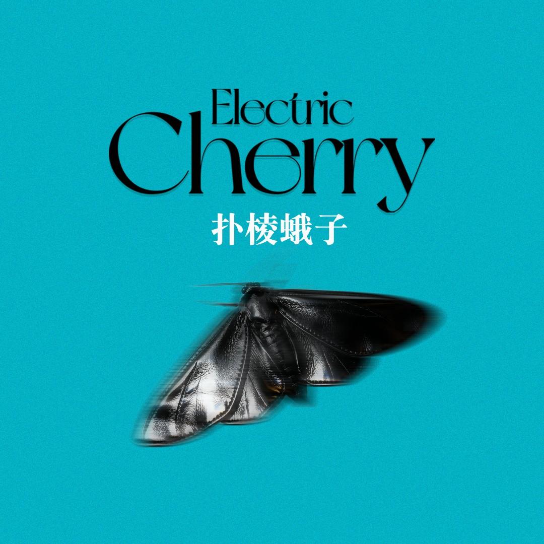 扑棱蛾子