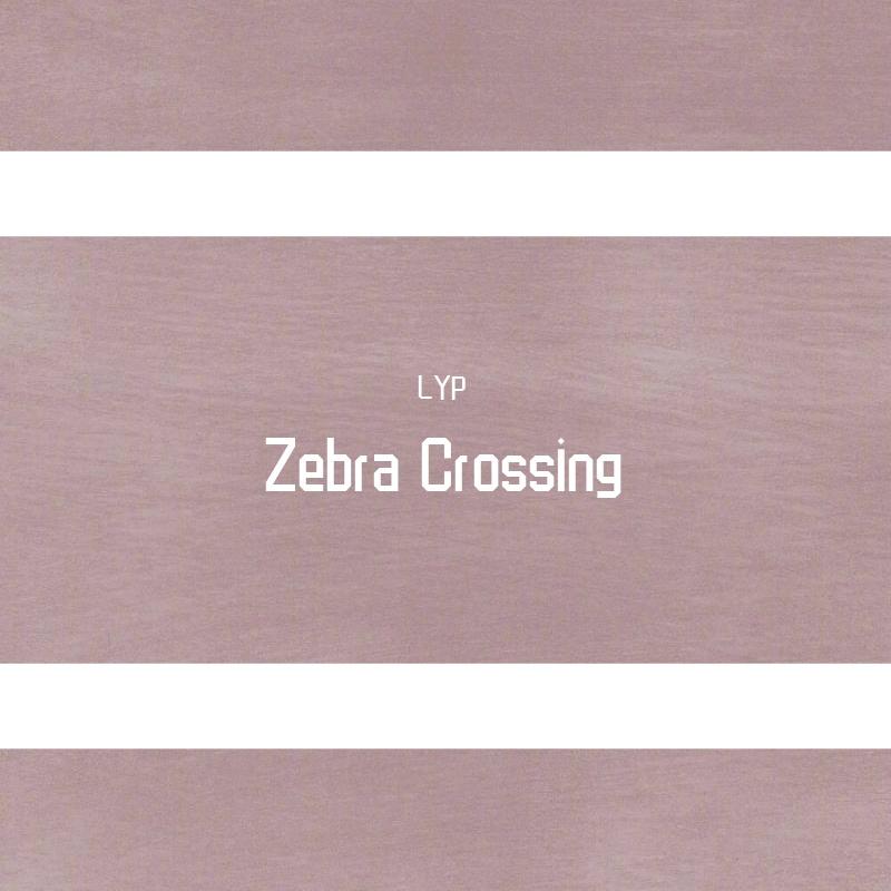 Zebra Crossing