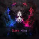 黑雾 Dark Mist专辑