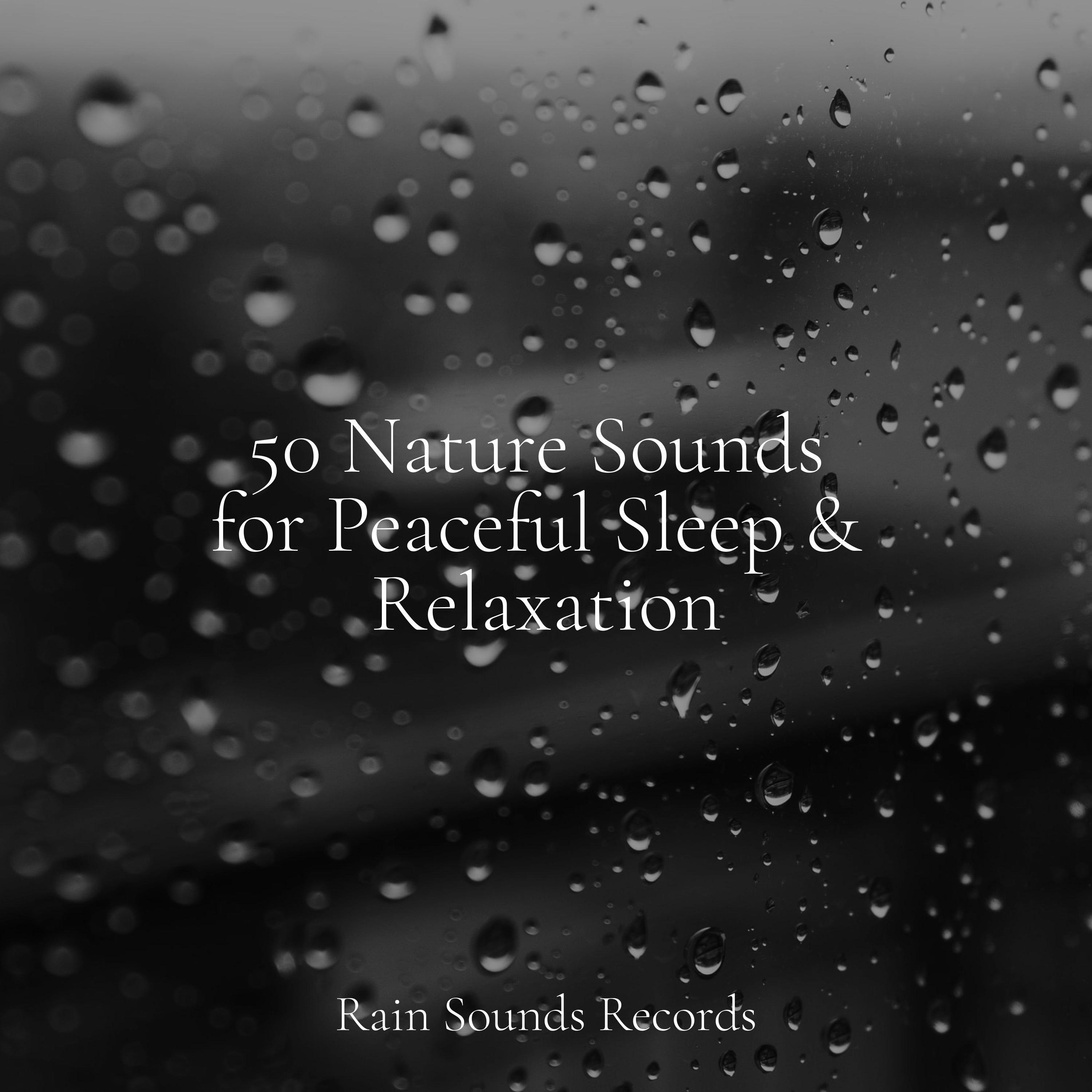 50 Nature Sounds for Peaceful Sleep & Relaxation - Relaxing Rain Sounds ...