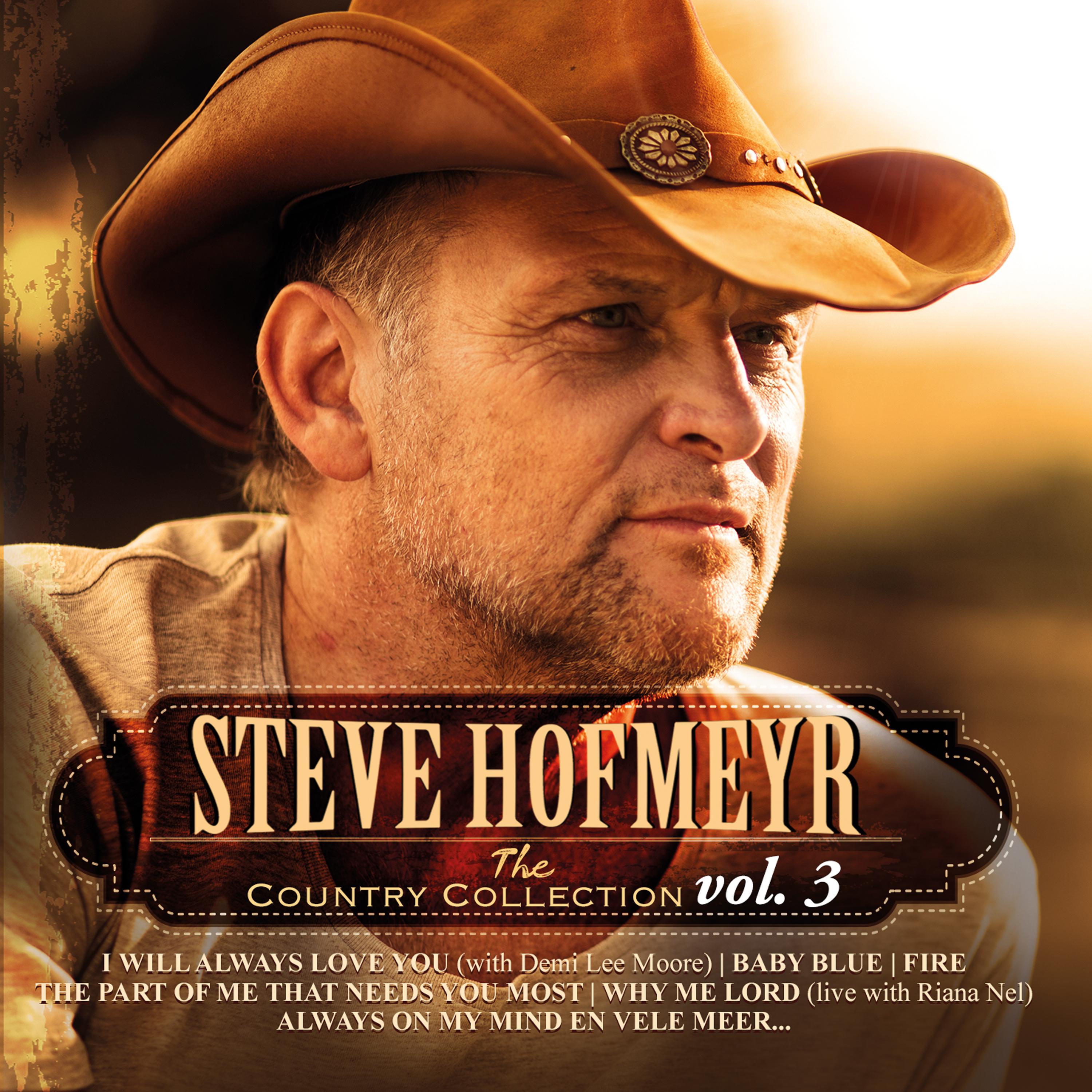 Steve Hofmeyr - It's You, It's You, It's You