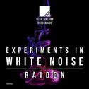Experiments In White Noise