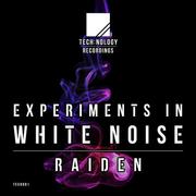 Experiments In White Noise