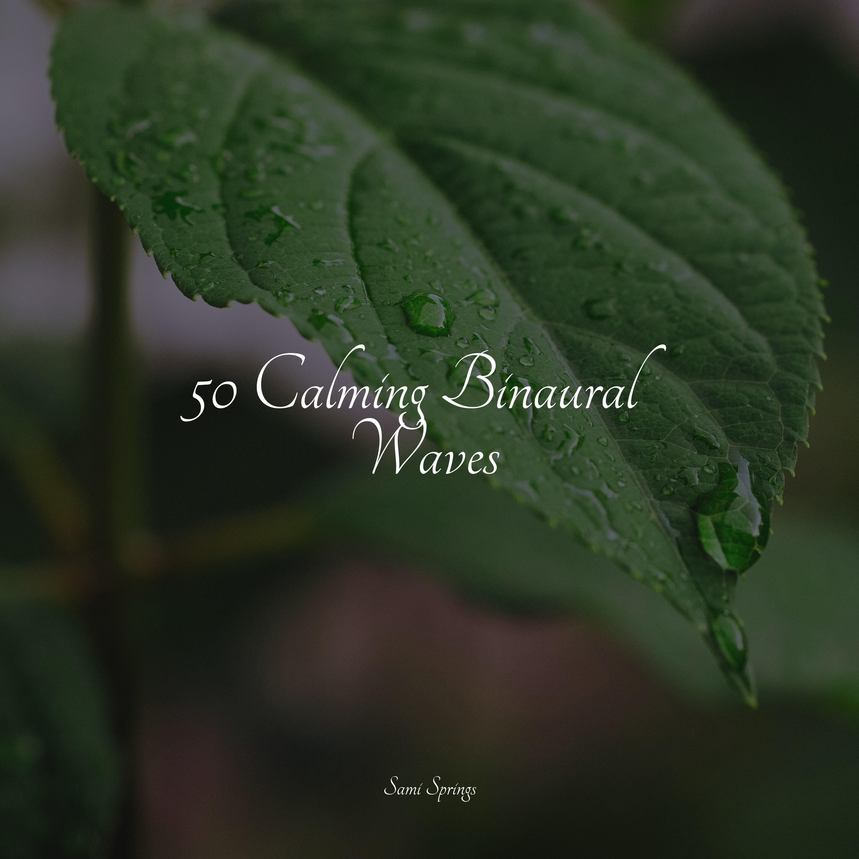 50 Calming Binaural Waves
