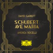 Ave Maria, D. 839 (Arr. Garrett / van der Heijden for Voice, Violin and Orchestra)