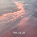 Firewatch (云上看火人)