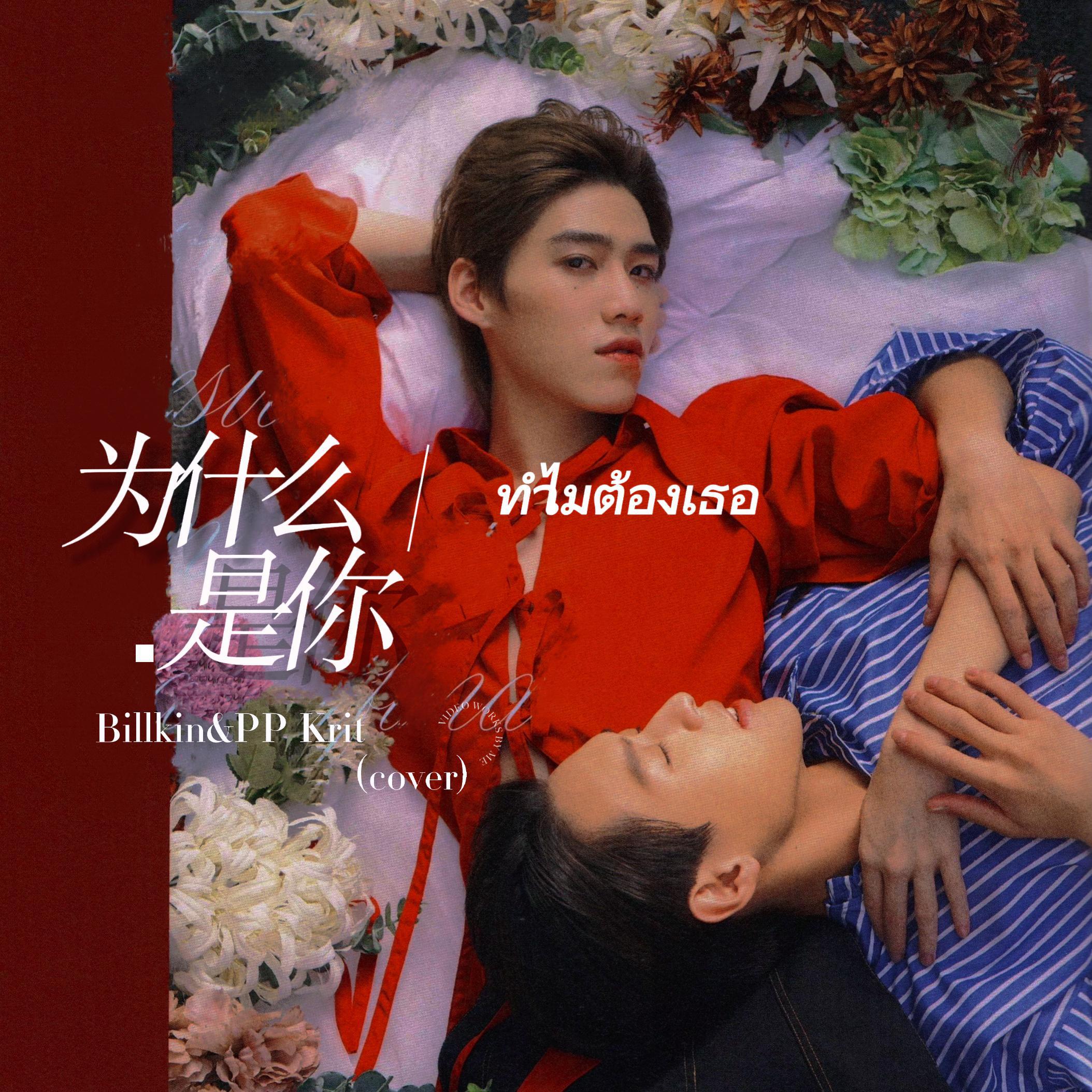 ทำไมต้องเธอ/为什么是你