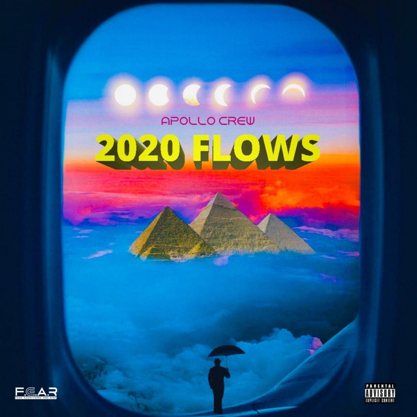 2020 FLOWS