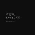 不愿再Say sorry（冬日版）