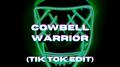 Cowbell Warrior - You Know It's Schemaboys (Tik Tok Best Part) [Remix]专辑