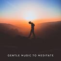 Gentle Music to Meditate专辑