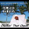 Rogizz - Checkin' That Check