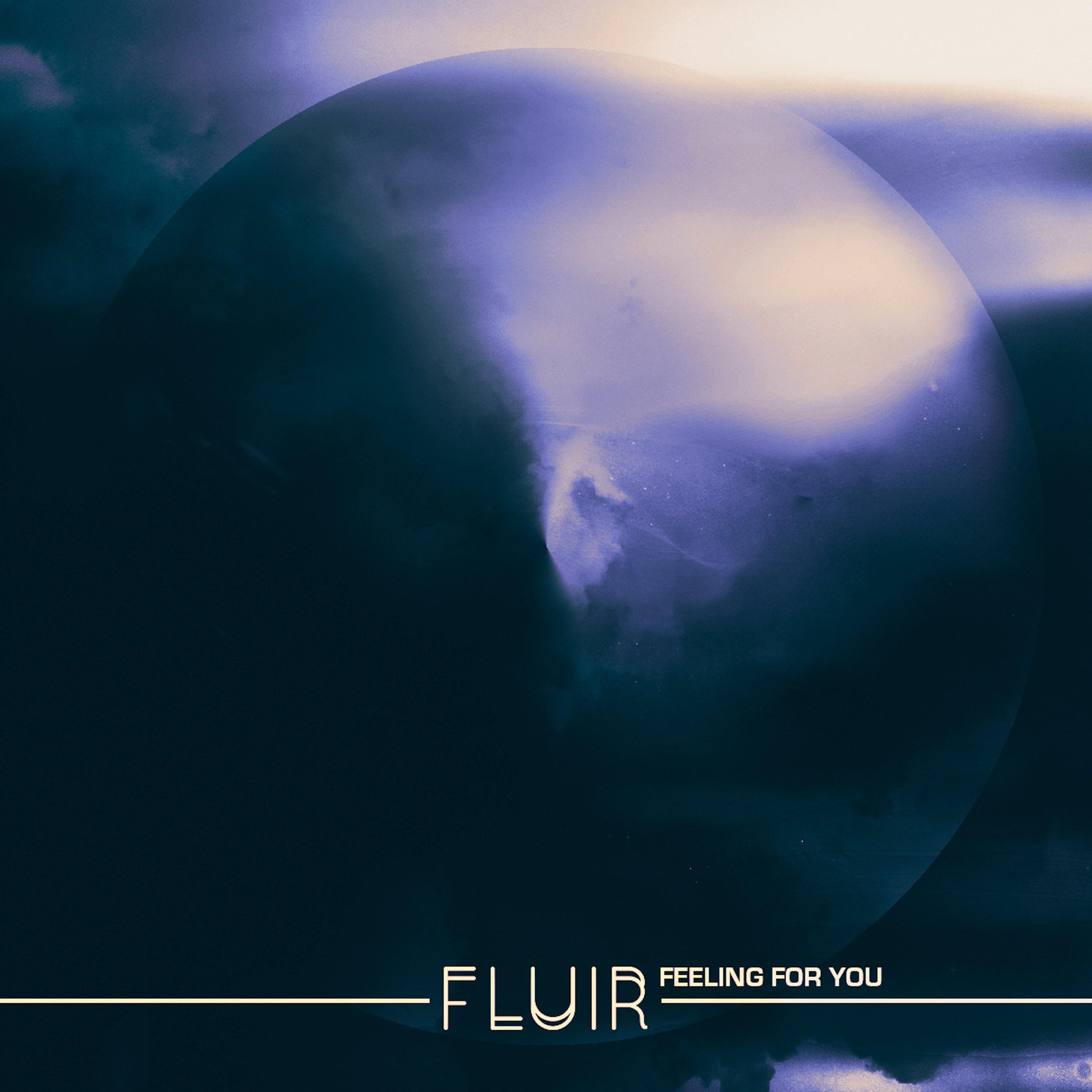 FLUIR - Feeling For You (Price Park Remix)
