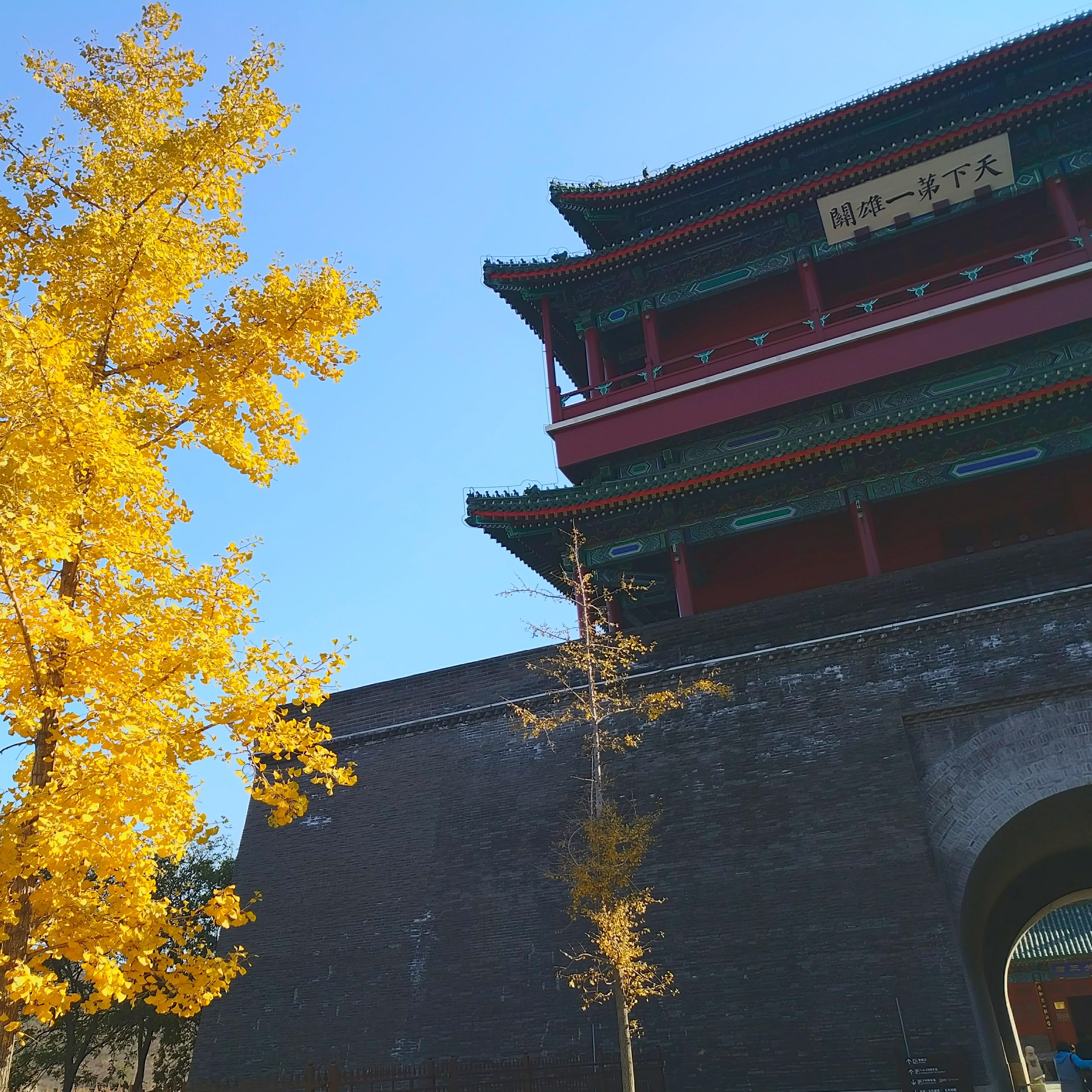 专属于地球另一端最最可爱的坤的秘密空间（三）专辑