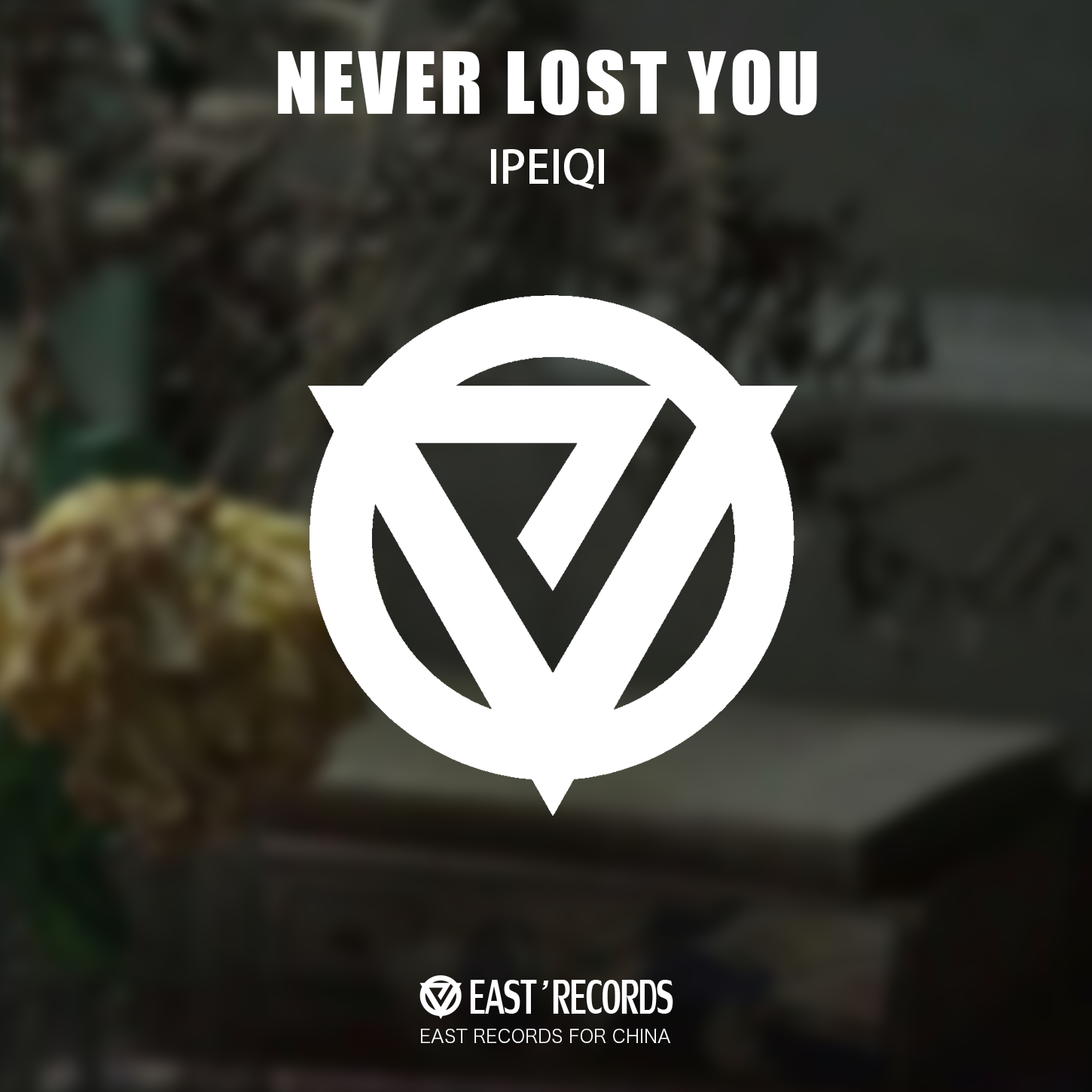 Never Lost You专辑