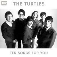 Turtles The - You Baby (unofficial instrumental)