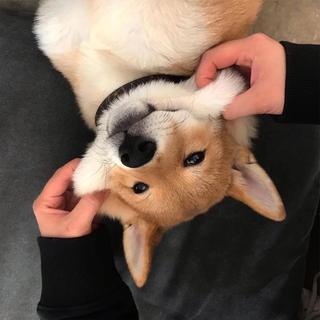 夕阳已去，皎月方来