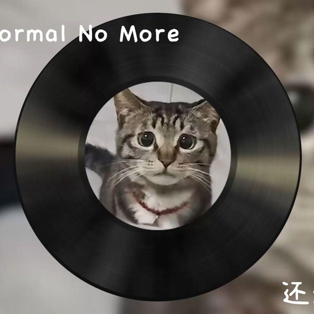 Normal No More(哈基米)
