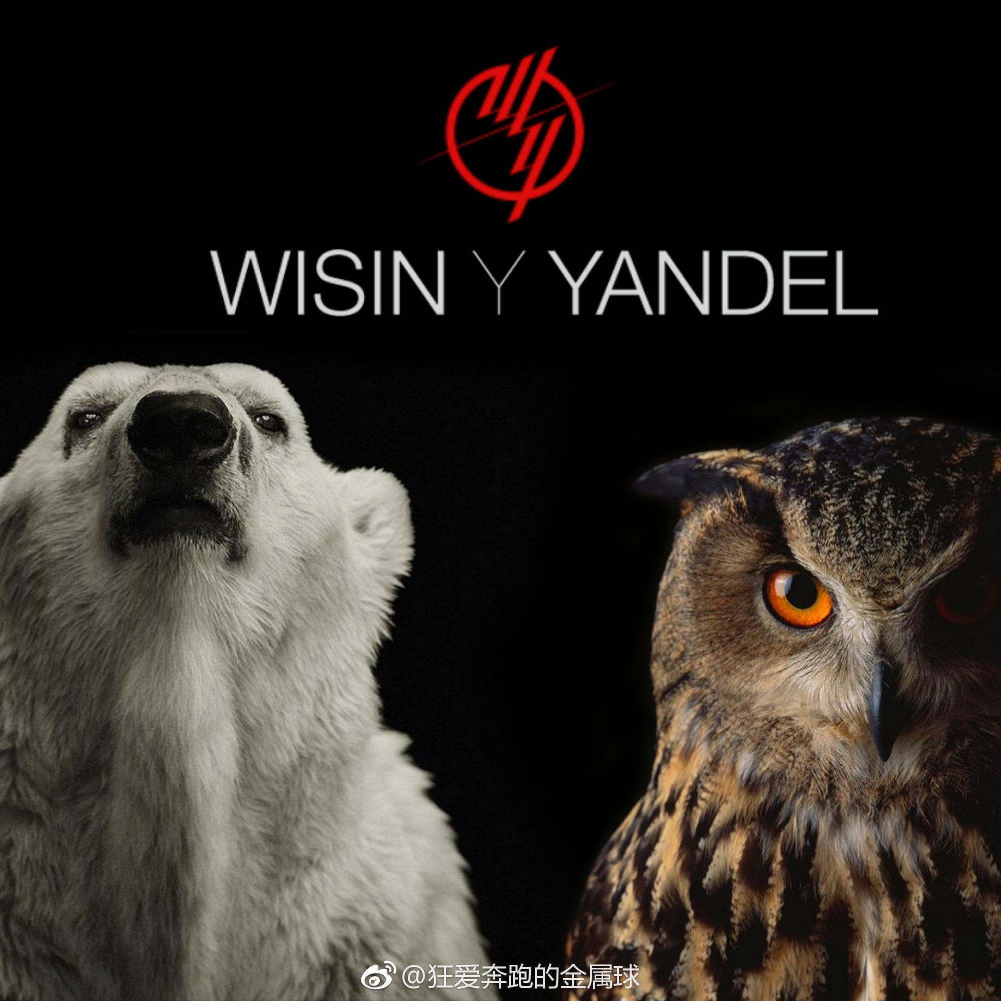 北极熊 Wisin & Yandel 猫头鹰