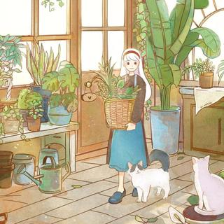 音乐盒治愈集丨静下心来聆听这美妙的旋律