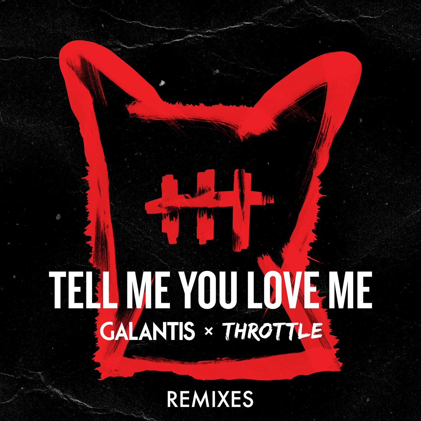 Tell Me You Love Me (DropGun Remix)