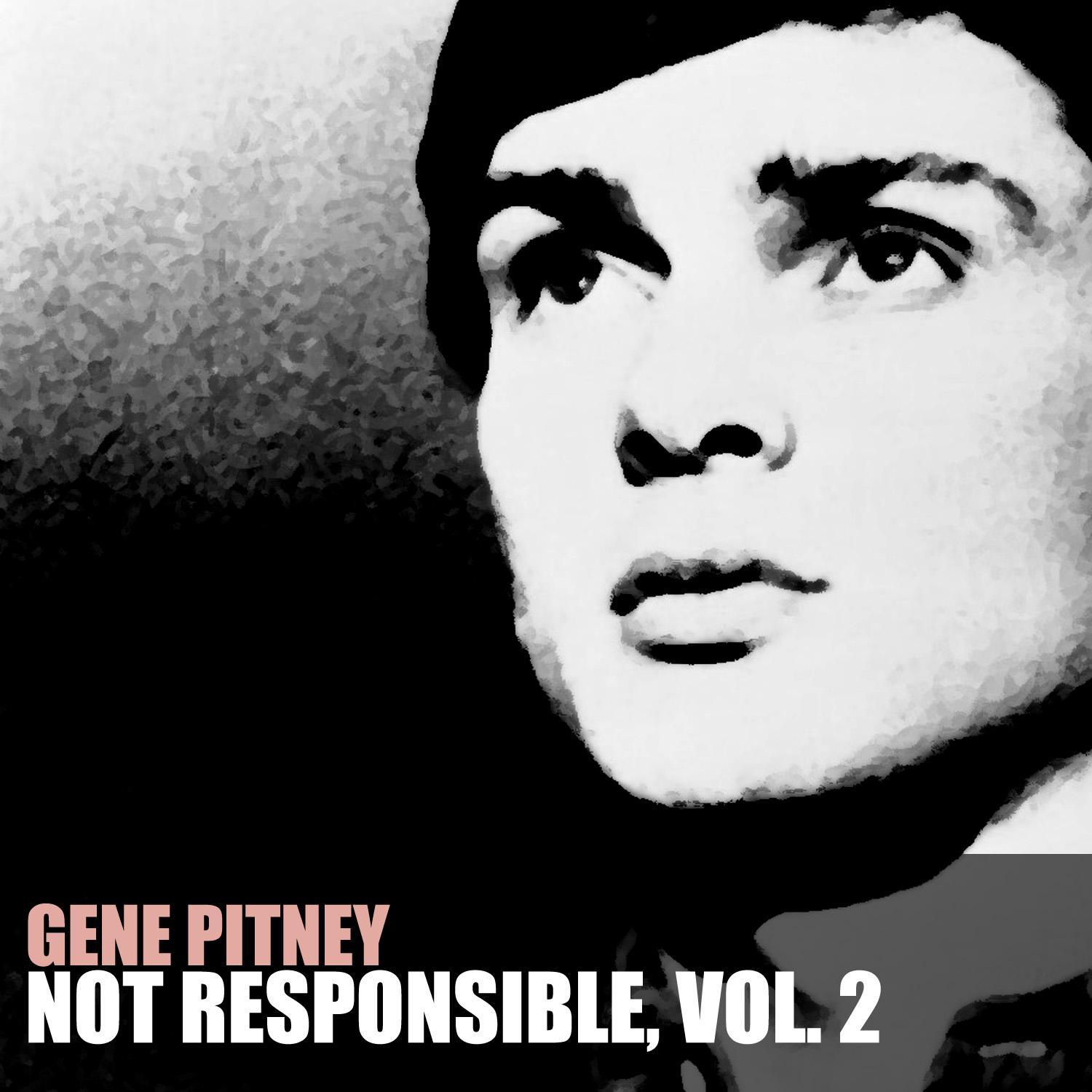 Not Responsible, Vol. 2