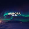 MRZ - 极光Aurora