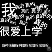 我真的真的真的很爱上学（Prod By.年轻的布洛克）