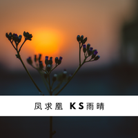 ks雨晴 - 凤求凰(伴奏).mp3