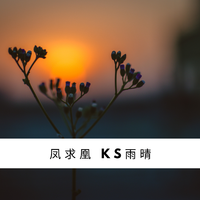 ks雨晴 - 凤求凰(伴奏)