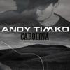 Andy Timko - Carry Me