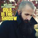 Gold in the Shadow (Deluxe Version)专辑