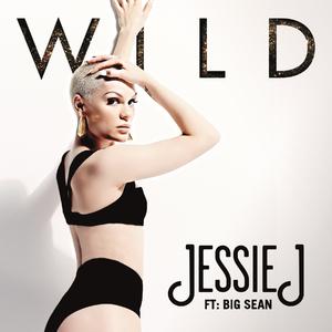 Wild - Jessie J (Karaoke Version) 带和声伴奏