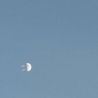 韩语清新|月亮说它忘记了ฅʕ•̫͡•ʔฅ