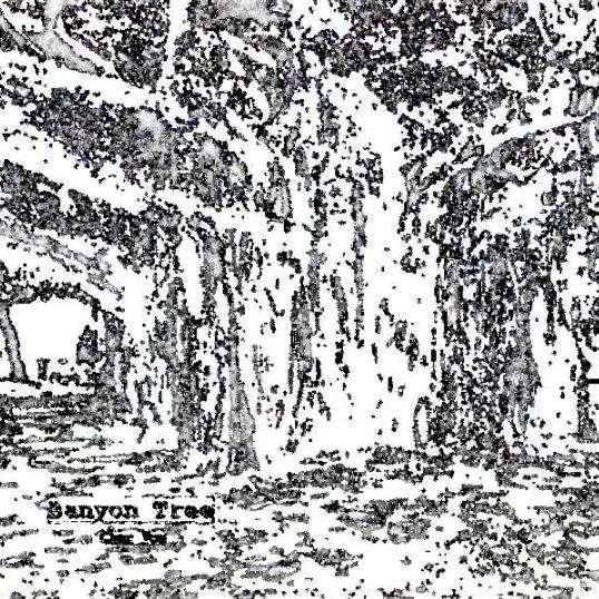 Banyan Tree EP