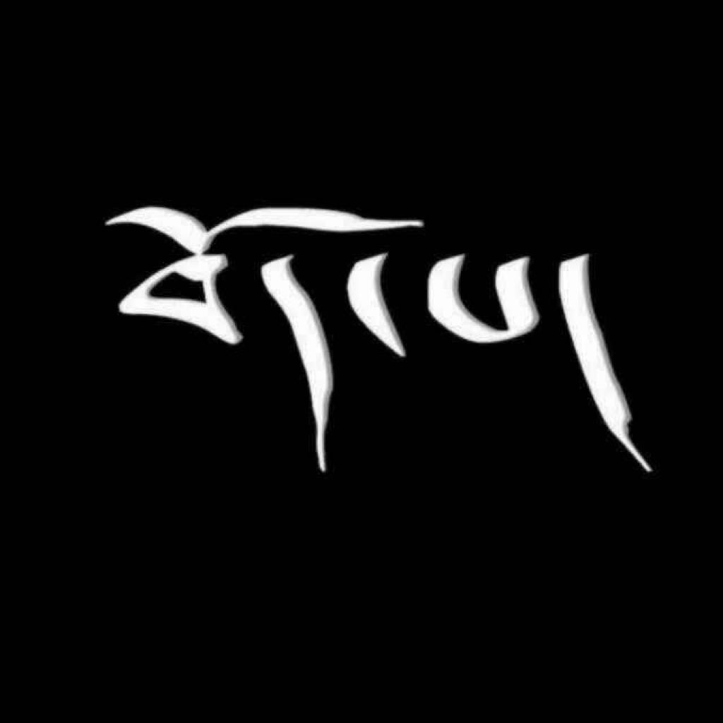 藏歌流行音乐