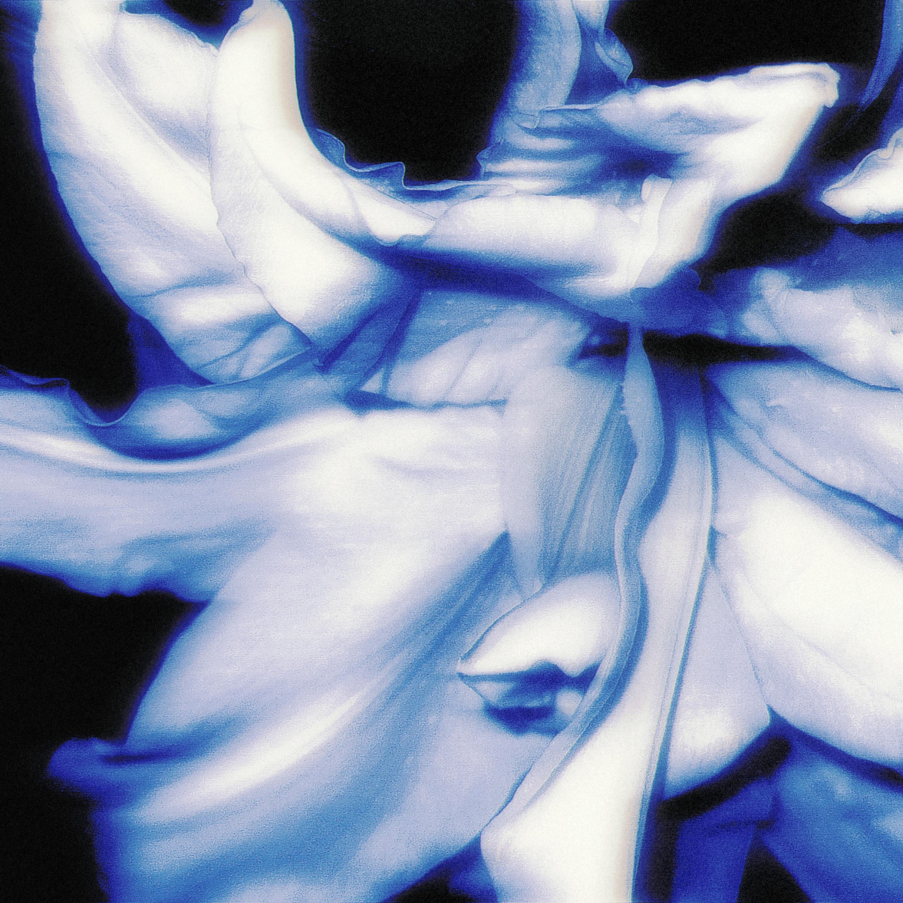 Wind Noise（风噪）