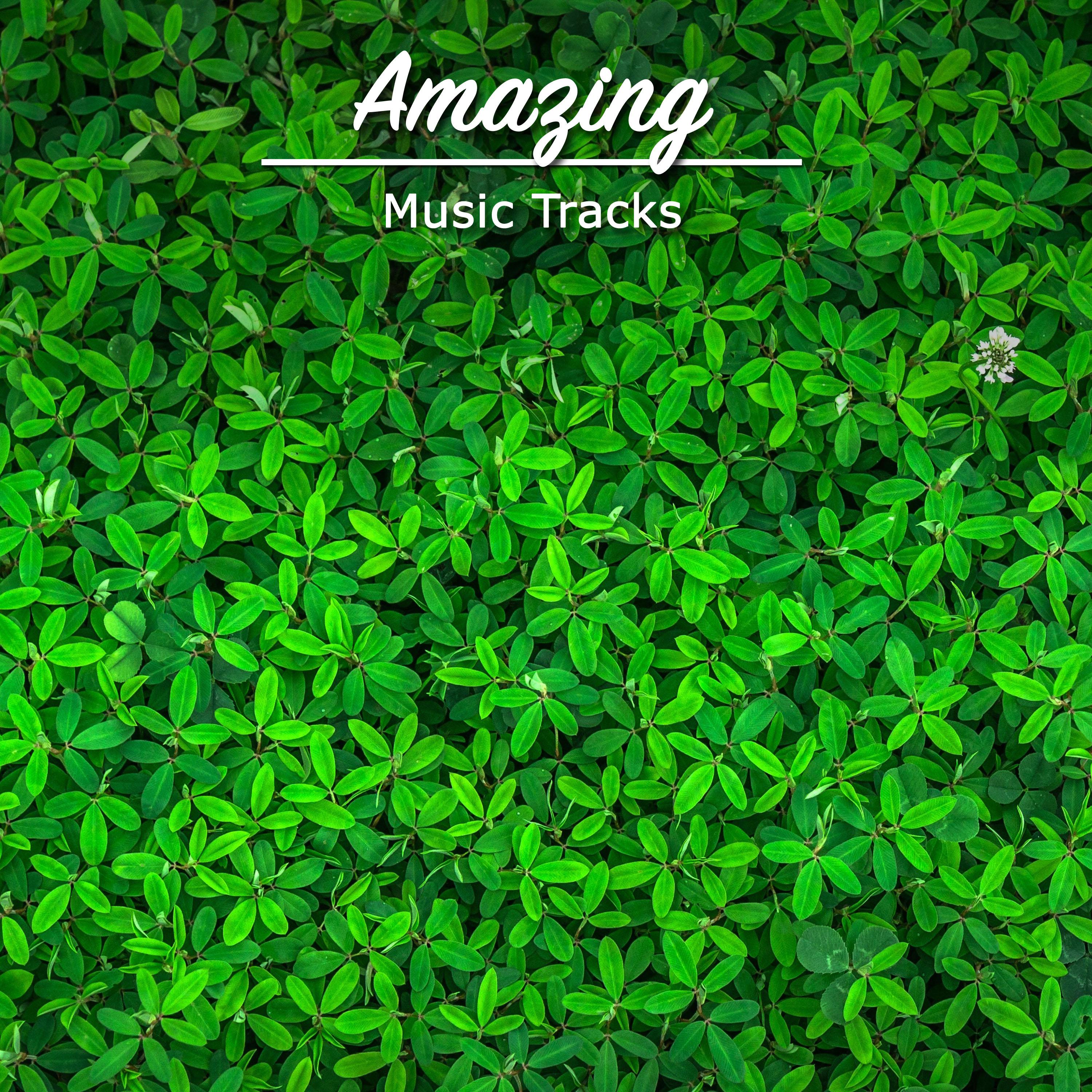 #15 Amazing Music Tracks for Yoga专辑