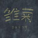 Daisy专辑