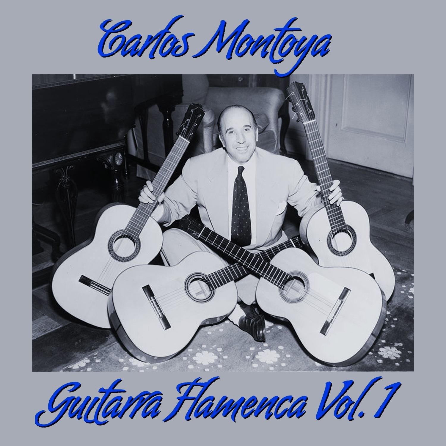 Guitarra Flamenca Vol. 1专辑