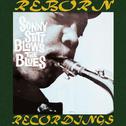 Sonny Stitt Blows The Blues (HD Remastered)专辑